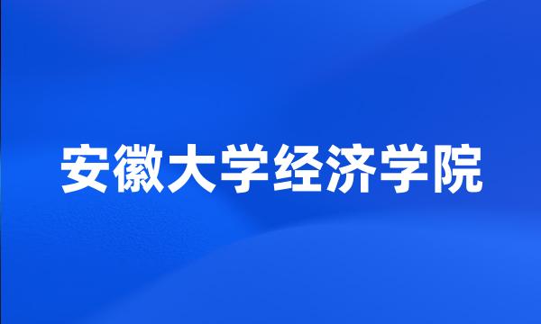 安徽大学经济学院