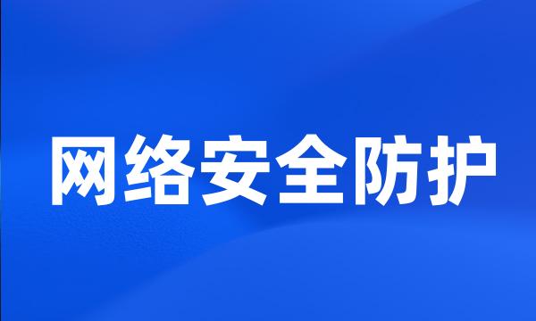 网络安全防护