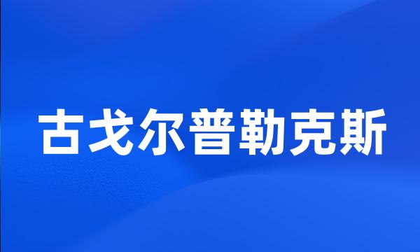 古戈尔普勒克斯