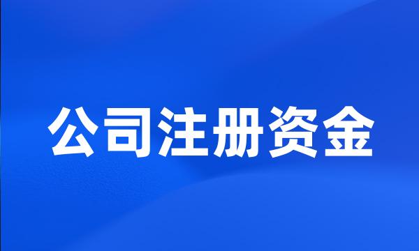 公司注册资金