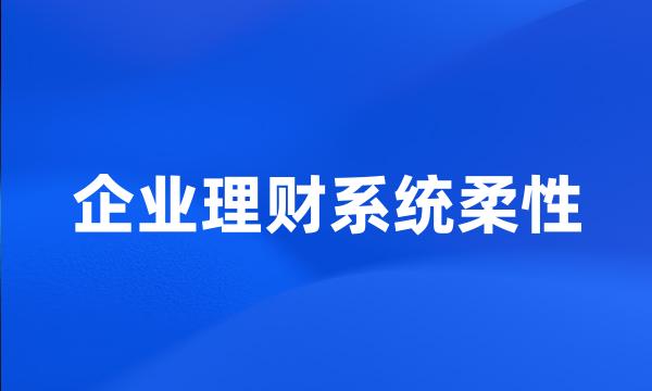 企业理财系统柔性