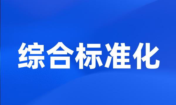 综合标准化