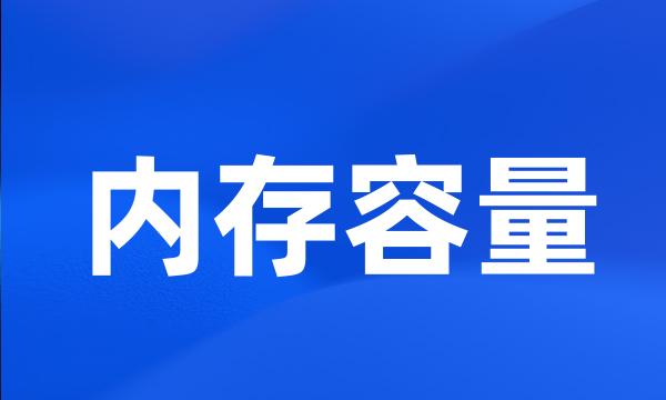 内存容量