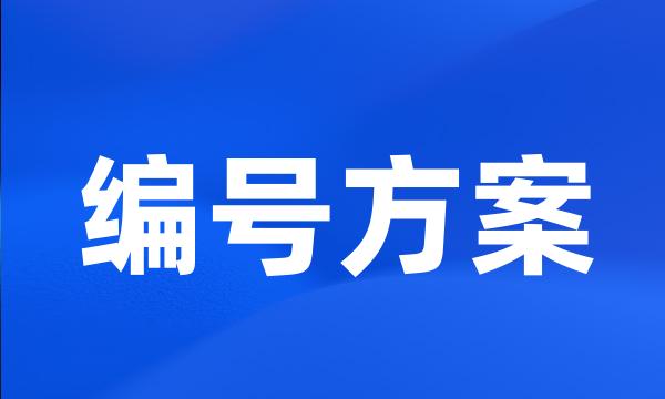 编号方案