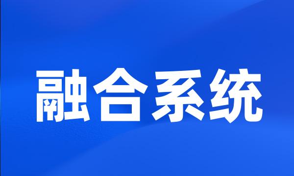 融合系统