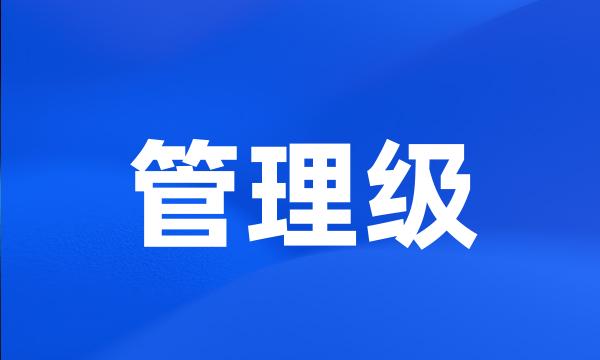 管理级