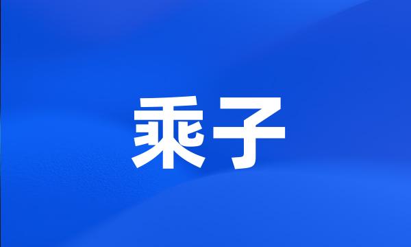 乘子