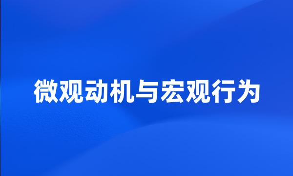 微观动机与宏观行为