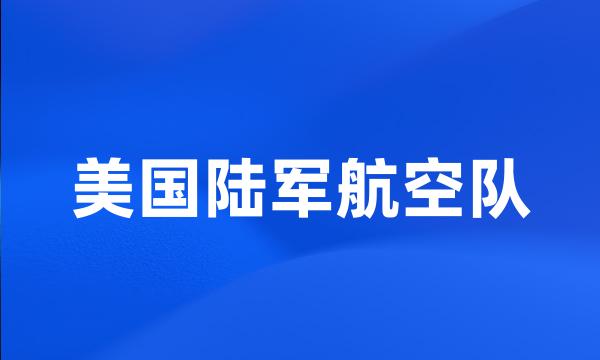 美国陆军航空队