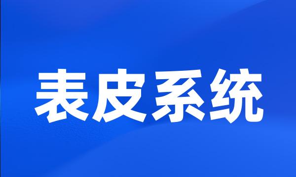 表皮系统