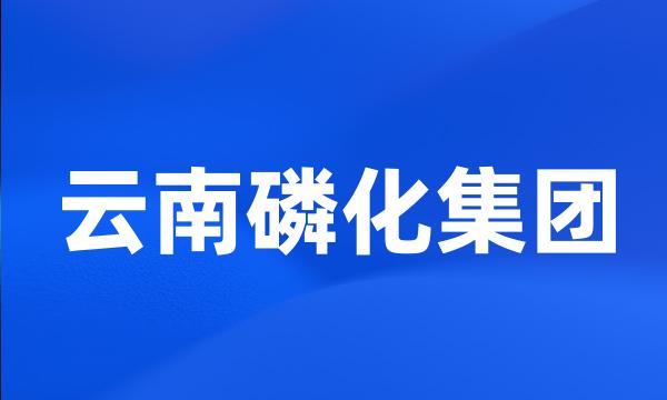 云南磷化集团