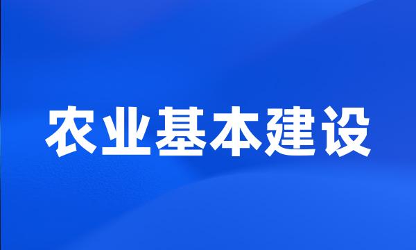 农业基本建设