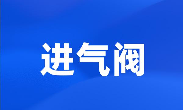 进气阀