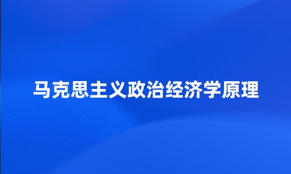 马克思主义政治经济学原理