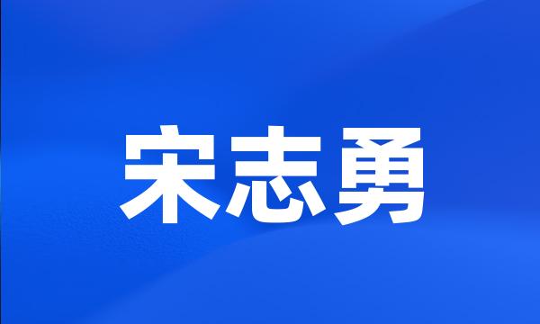 宋志勇