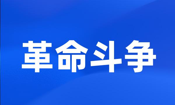 革命斗争