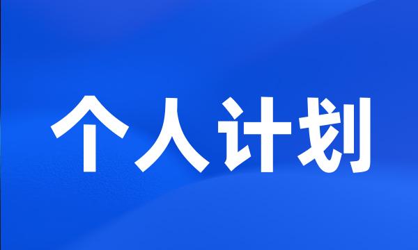 个人计划