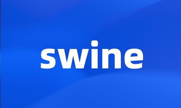 swine