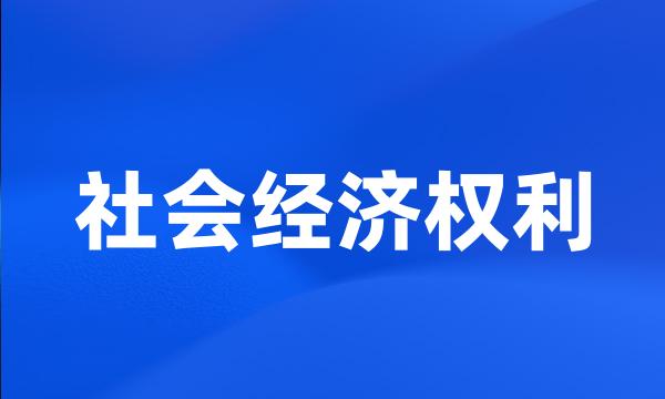 社会经济权利