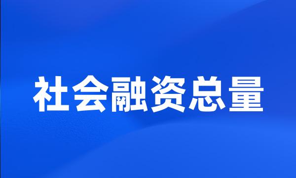 社会融资总量