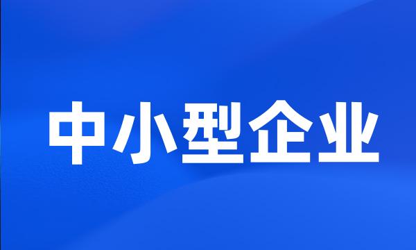 中小型企业