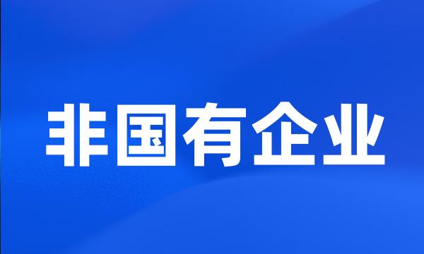 非国有企业