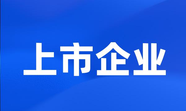 上市企业