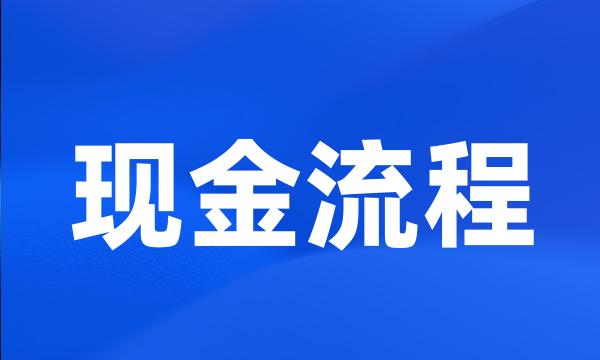 现金流程