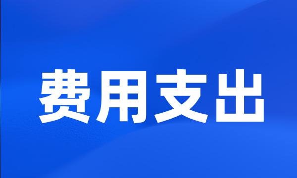 费用支出