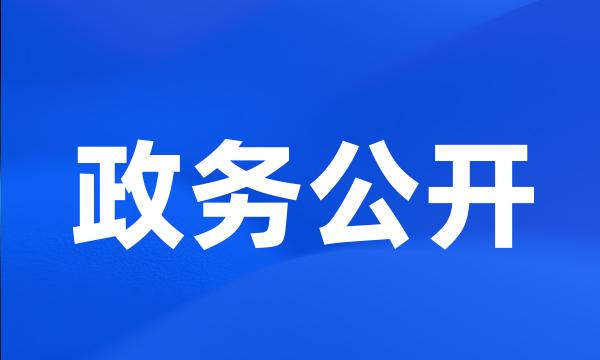 政务公开