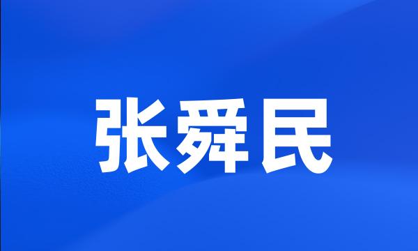 张舜民