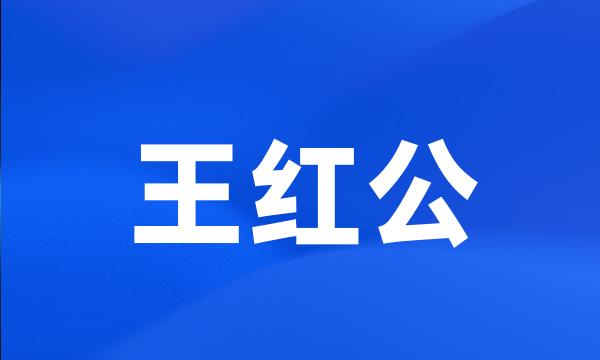 王红公