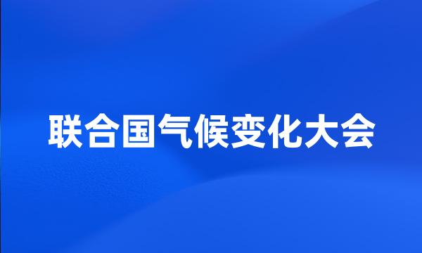 联合国气候变化大会