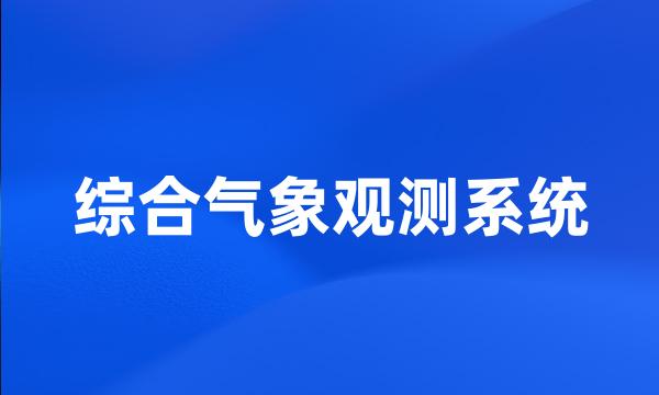 综合气象观测系统