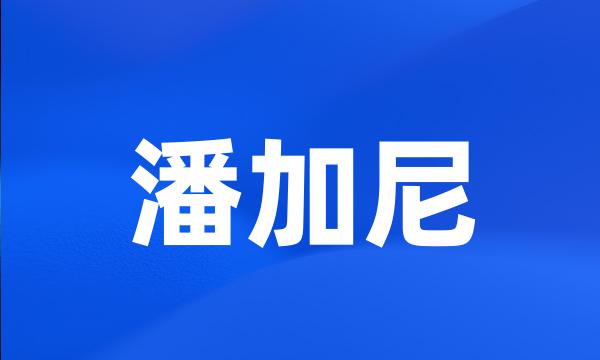 潘加尼