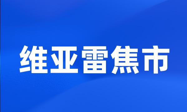 维亚雷焦市