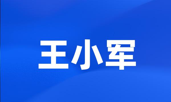 王小军