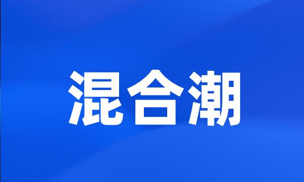 混合潮