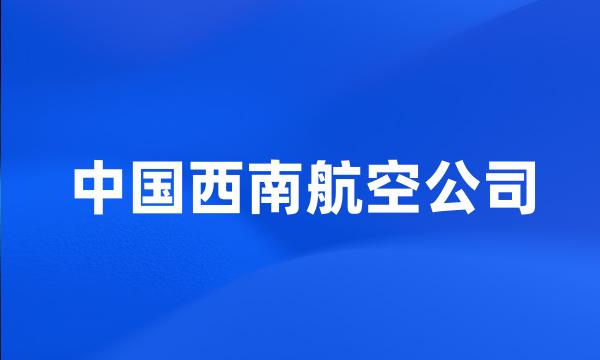 中国西南航空公司