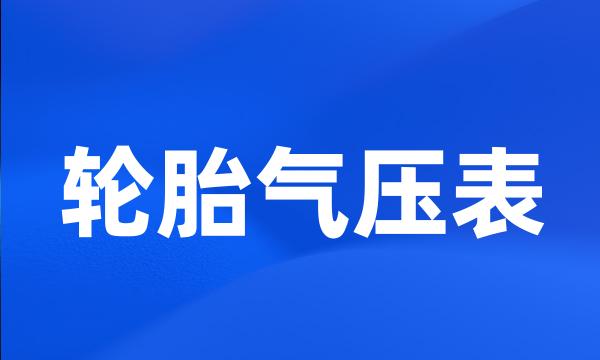 轮胎气压表