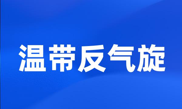 温带反气旋