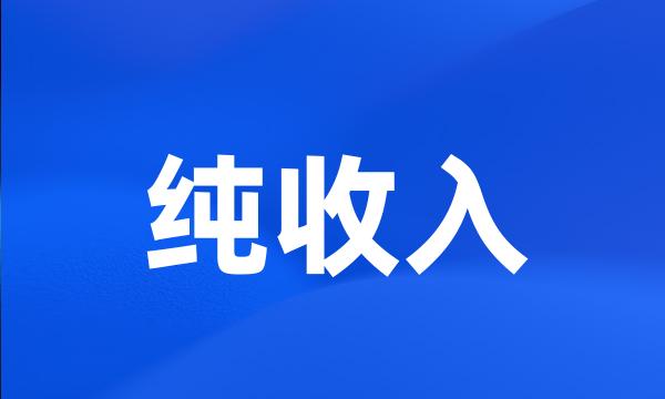 纯收入