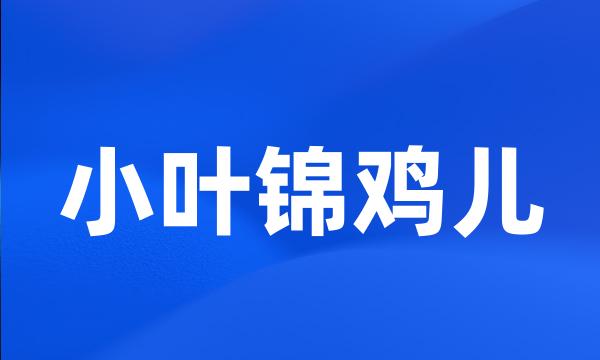 小叶锦鸡儿