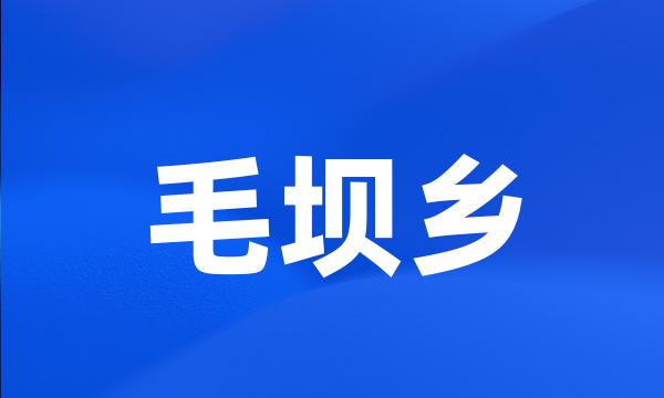 毛坝乡