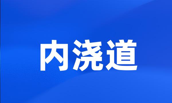 内浇道