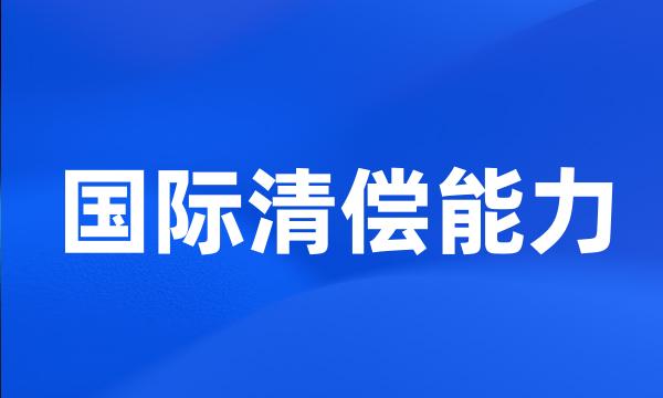 国际清偿能力