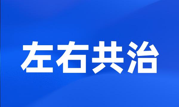 左右共治