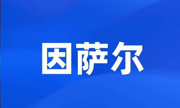 因萨尔