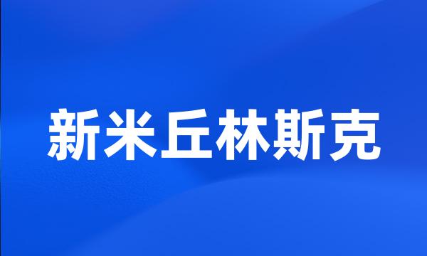 新米丘林斯克