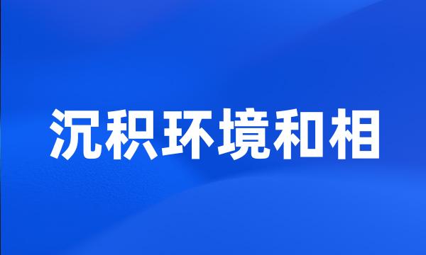 沉积环境和相